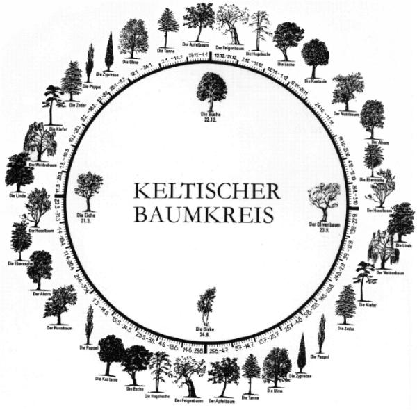 blumentopf fr kaktus Blumentopf mit Kaktus  Puppenhaus-Zubehr